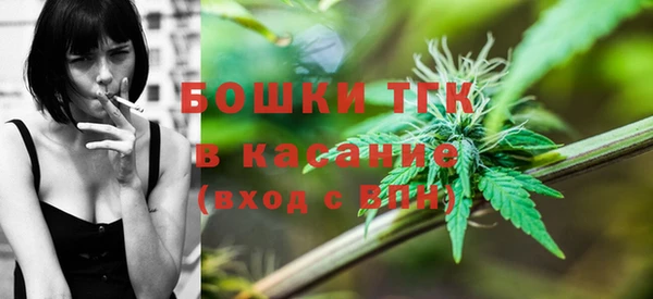 дмт Новозыбков