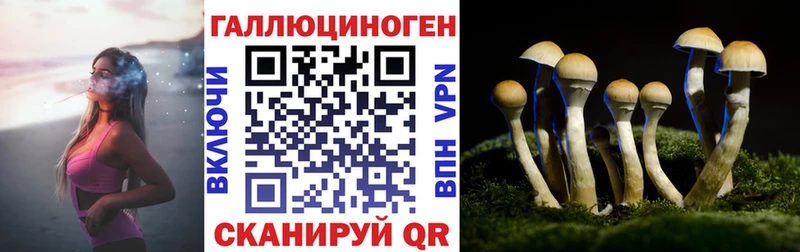 как найти   Россошь  Псилоцибиновые грибы MAGIC MUSHROOMS 