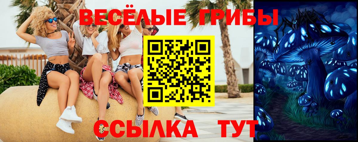 Галлюциногенные грибы Psilocybine cubensis Россошь