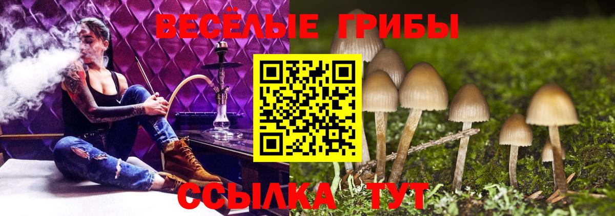 Псилоцибиновые грибы мицелий  Псилоцибиновые грибы Magic Shrooms  Россошь 