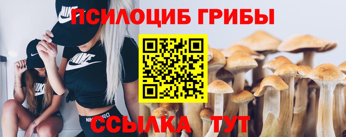 Россошь  Псилоцибиновые грибы прущие грибы  Вход с VPN  Галлюциногенные грибы GOLDEN TEACHER 