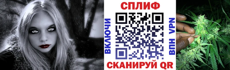 сколько стоит Россошь Марихуана сатива